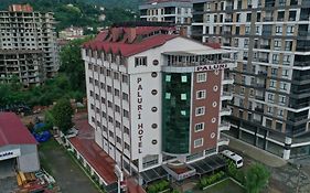 Paluri Otel Hopa